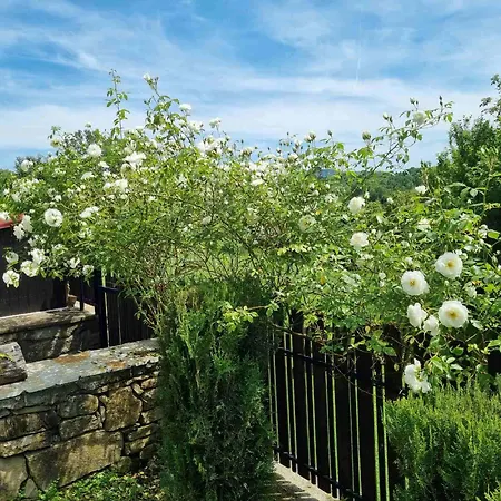 펜션 арната къща *