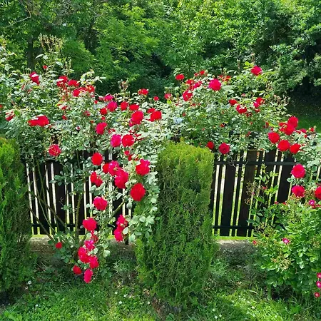 арната къща 펜션 Yakovtsi