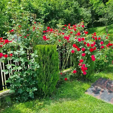 арната къща Yakovtsi